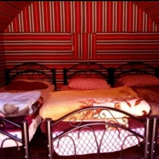Bedouin Family Camp Hotel วาดิรัม ภายนอก รูปภาพ