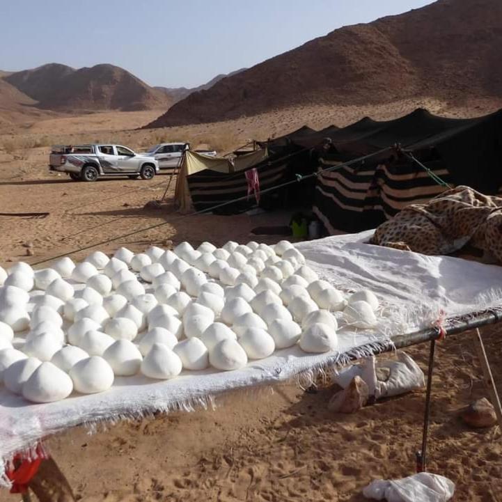 Bedouin Family Camp Hotel วาดิรัม ภายนอก รูปภาพ